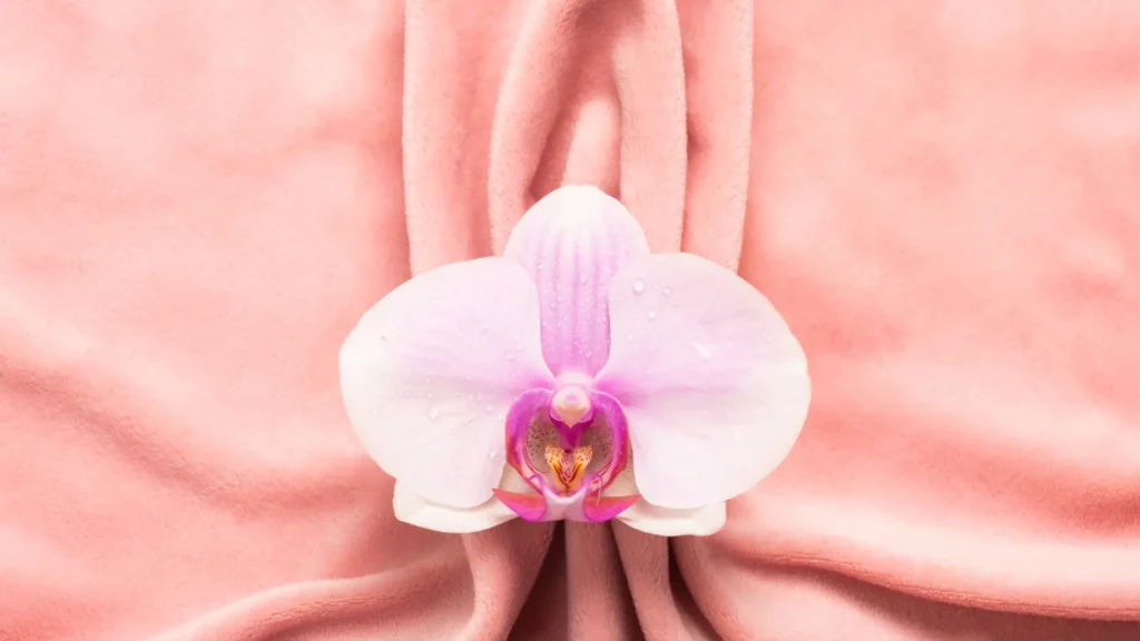 Labiaplasty - a flower